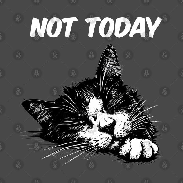 Not Today Funny Cat by NineBlack