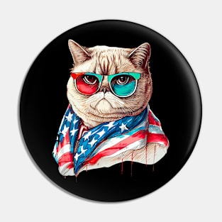 Independence Day Cat Pin