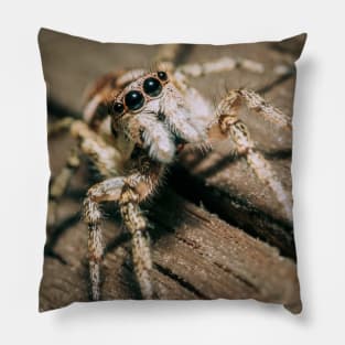 Don't Step on a Crack! Macro Jumping Spider Photograph Pillow