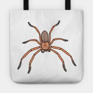 Delena Cancerides social huntsman Tote