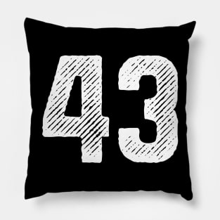 Rough Number 43 Pillow