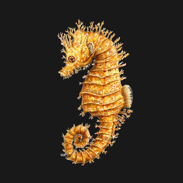Yellow seahorse Hippocampus by chloeyzoard