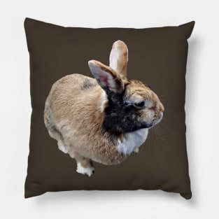 Mini Rex Rabbit Pillow