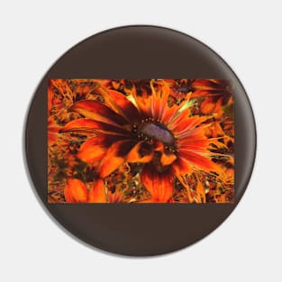 Vivid Chocolate Rudbeckias Pin