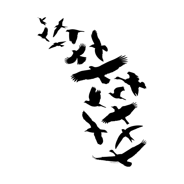 Nature - Flying Birds by ImproveYourself