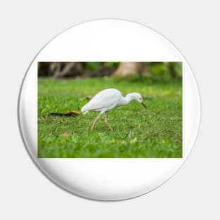 Cattle Egret 2 Pin