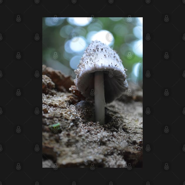 Wild Mushroom by AflipnCookie