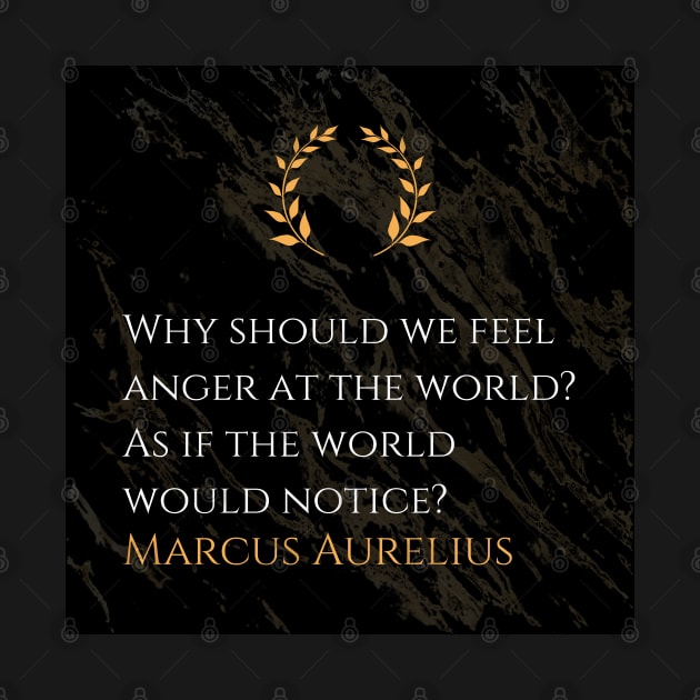 Marcus Aurelius's Reflection: Futility of Anger Towards the World by Dose of Philosophy