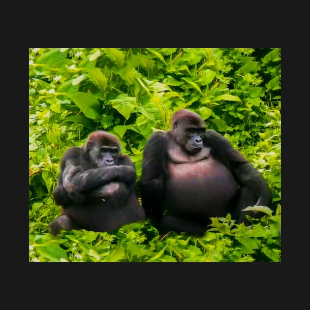 Resting gorillas by Guardi