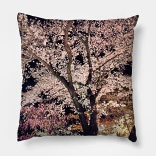 Sakura - Cherry Blossom - Kyoto Pillow