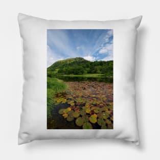 Rydal Water Pillow