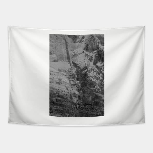 Black and white abstract surface from a scratched stonewall Tapestry by kall3bu