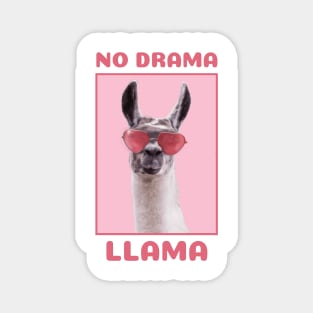 No drama Magnet