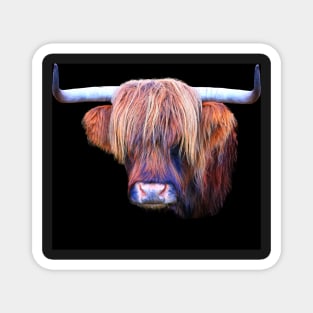 Highland Cow in Colour Magnet