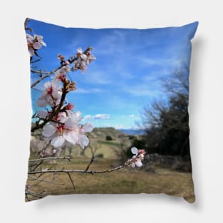 Almond blossom Pillow