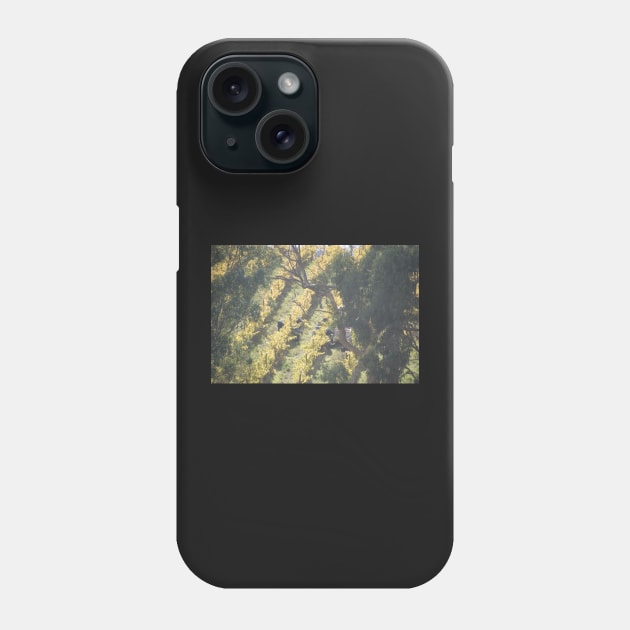 Vertical Vines - Magpie Springs - Adelaide Hills Wine Region - Fleurieu Peninsula - Winery Phone Case by MagpieSprings