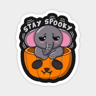 Baby Elephant Stay Spooky Magnet