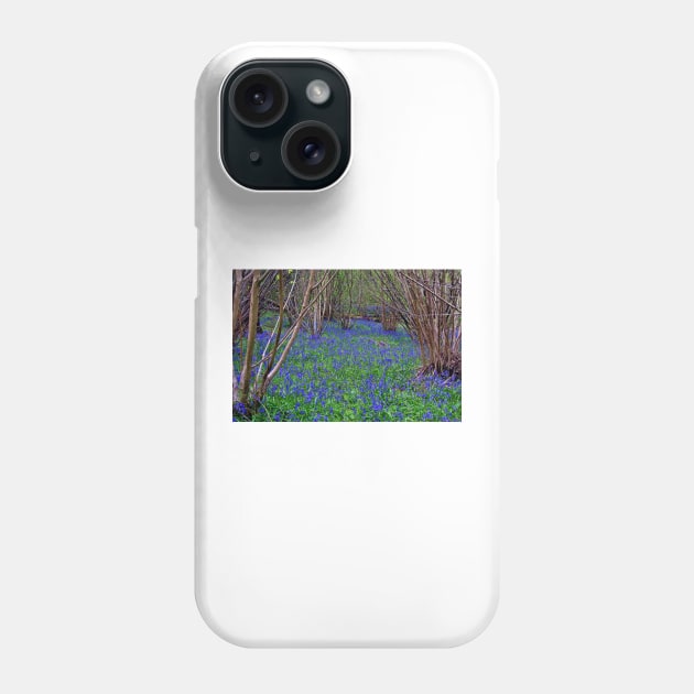 Bluebell Woods Bluebells Basildon Park Reading Berkshire Phone Case by AndyEvansPhotos