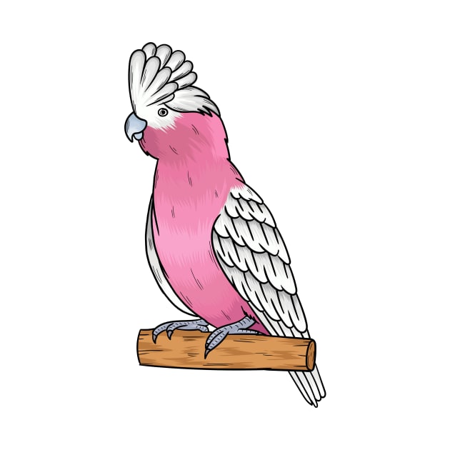 Galah bird cartoon illustration by Cartoons of fun