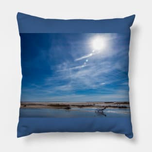 Winter Blues At Salt Plains National Wildlife Refuge Oklahoma Pillow