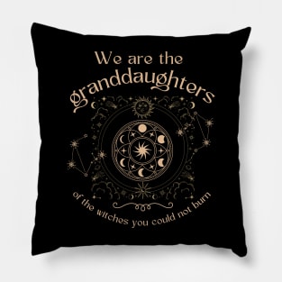 Granddaughters of Witches You Could Not Burn Pillow