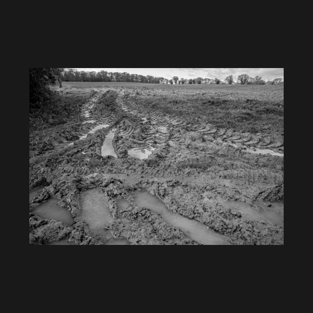 Muddy entrance to an arable field in the English countryside by yackers1