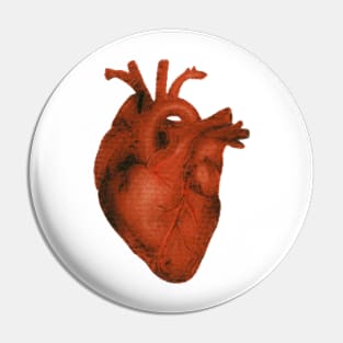 anatomical heart drawing Pin