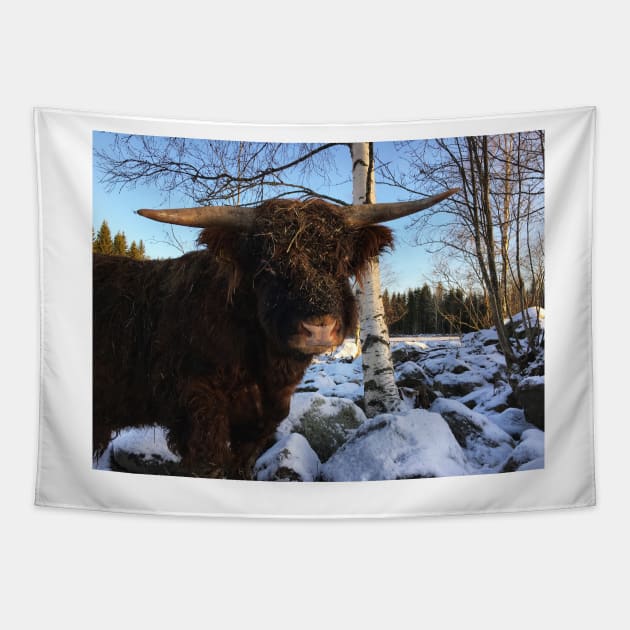 Scottish Highland Cattle Bull 2259 Tapestry by SaarelaHighland