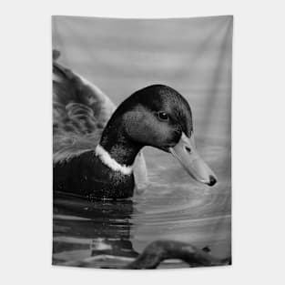 Mallard Duck Monday Tapestry