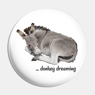 Grey Donkey Dreaming Pin