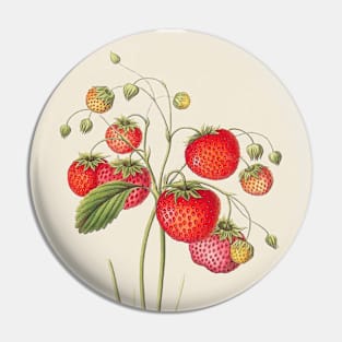 Strawberry Antique Botanical Illustration Pin