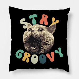 Stay Groovy Pillow