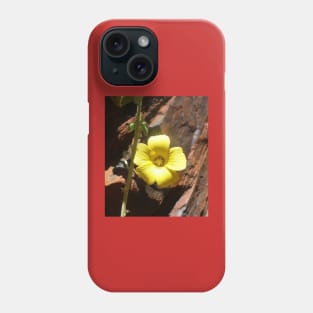 Beautiful Yellow Wildflower Phone Case