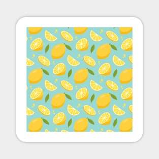 Slice Lemon Fruit Squeeze Citrus Juice Summer Gift Magnet