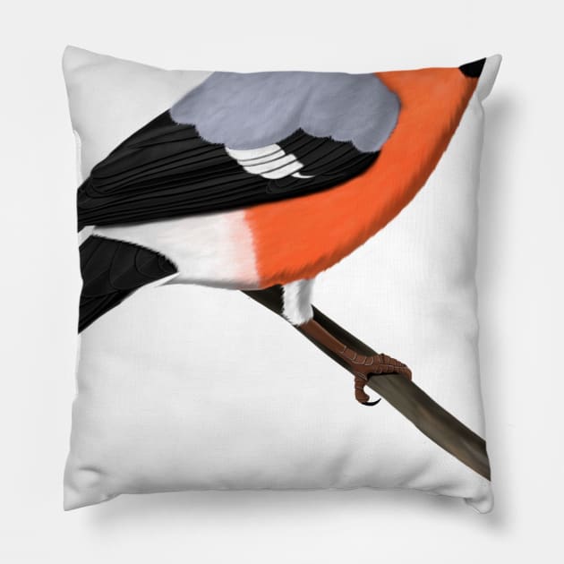 Bullfinch Bird Illustration Bird Watching Pillow by jzbirds