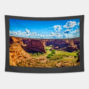 Canyon de Chelly National Monument Tapestry