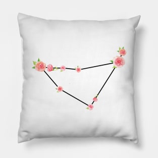 Zodiac Sign Capricorn Pillow