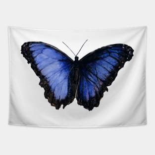 Morpho Tapestry