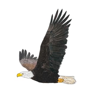 American Bald Eagle Detailed Drawing T-Shirt