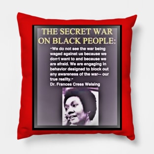 War on Black People - Frances Cress Welsing Pillow