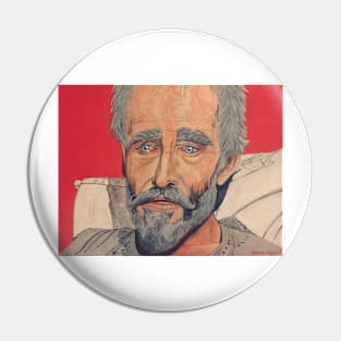 Don Quixote Pin