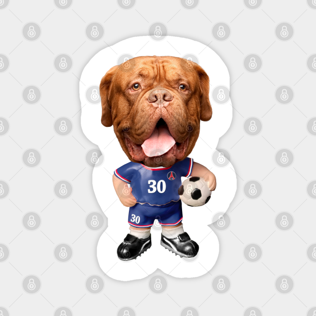 Lionel Messi Dog Football player, Funny Soccer Player Dog Football