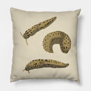 Leopard Slugs Pillow