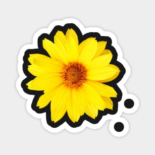 Yellow Daisy Magnet