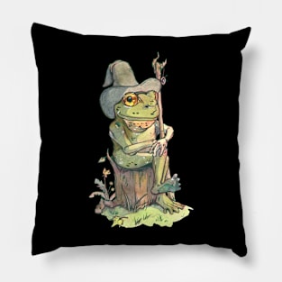 frog wizard Pillow