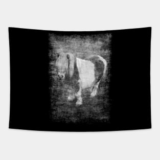 Cute dwarf pony Tapestry