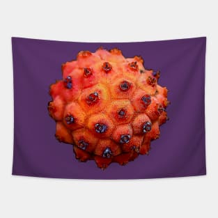 Orange Tree Seed Tapestry