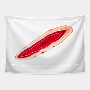 Red agate slice mineral Tapestry