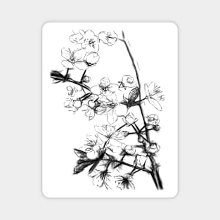 Cherry Blossom Minimal Drawing Magnet