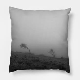 Black and White landscape photography Pillow